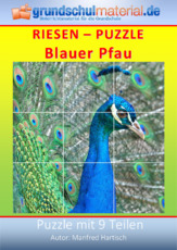 Riesenpuzzle_Blauer Pfau.pdf